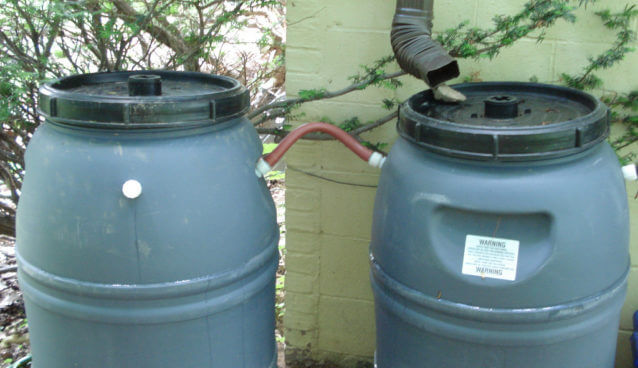 Rainwater barell in aride areas