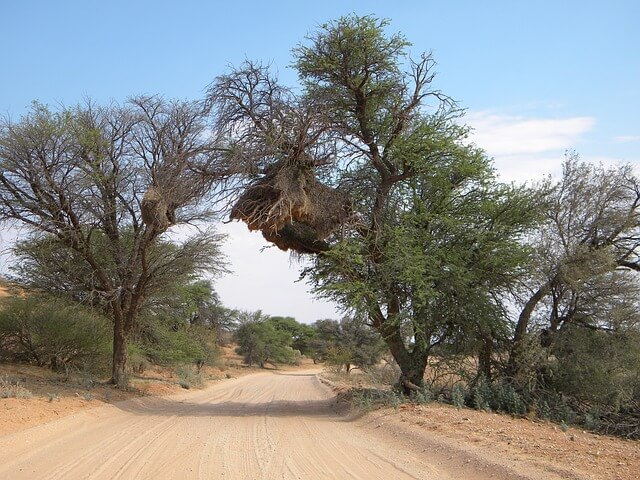Kgalagadi park where located wilderness camps Kgalagadi park where located wilderness camps