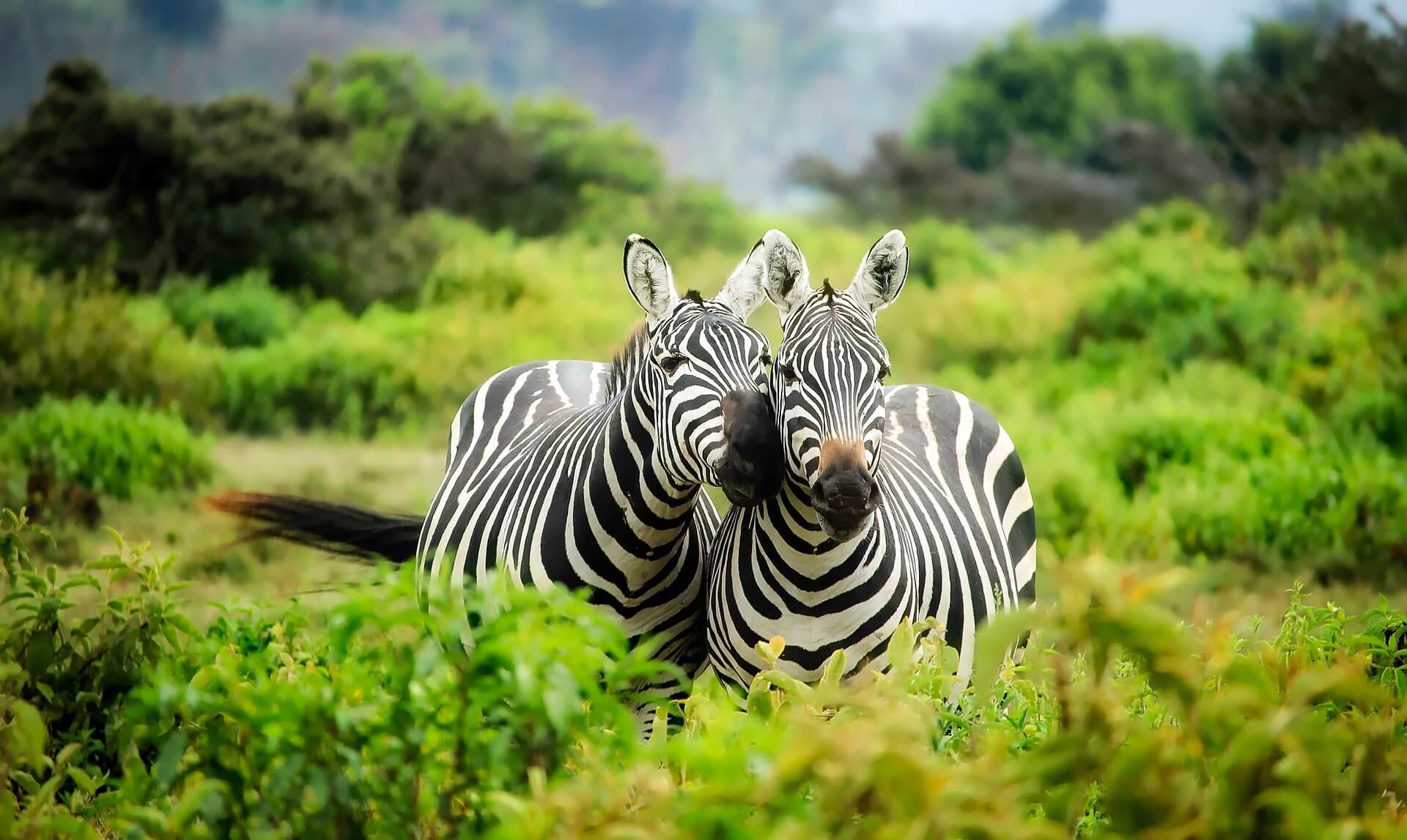 10 things not do on your visit to Kenya