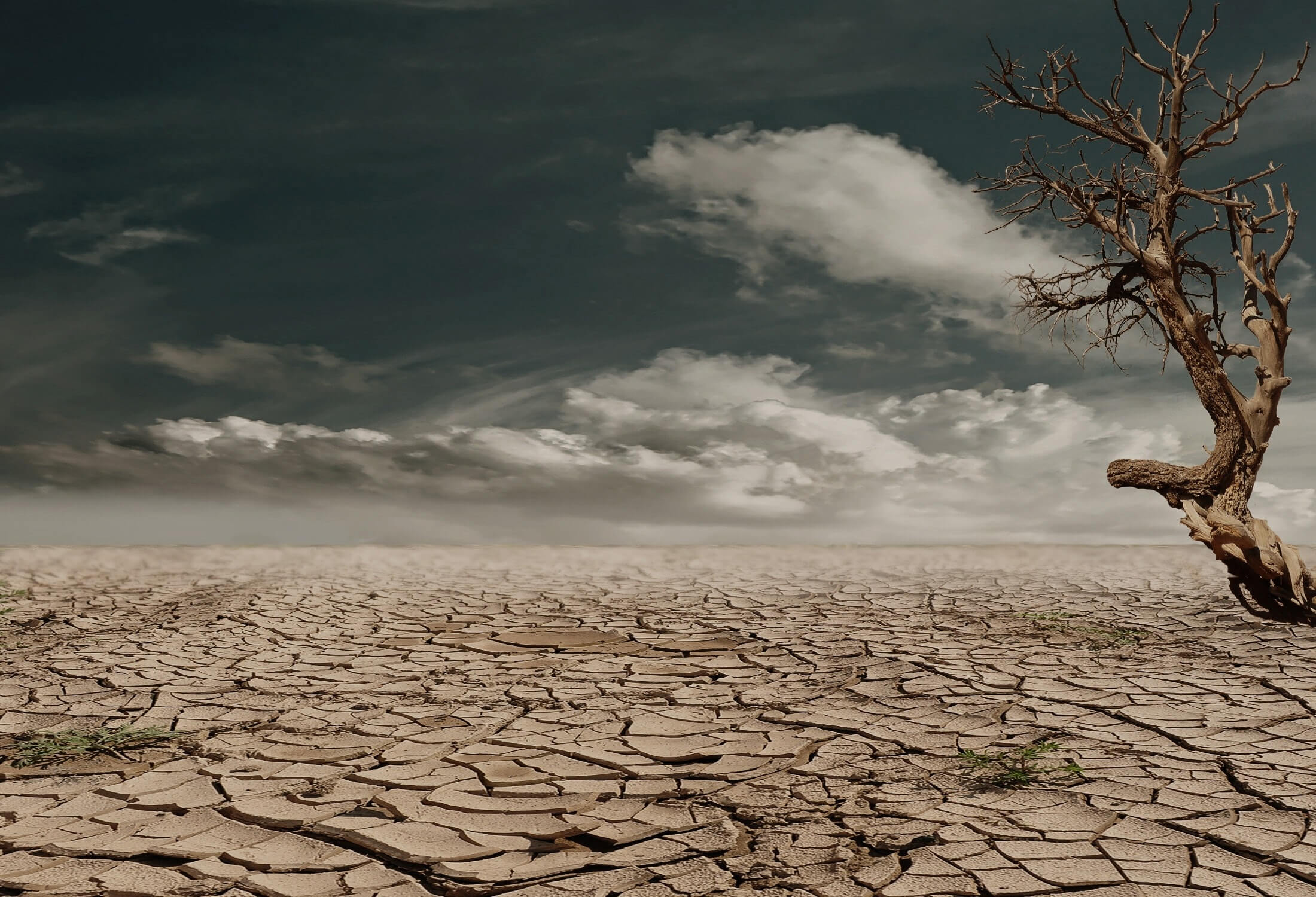 africa climate