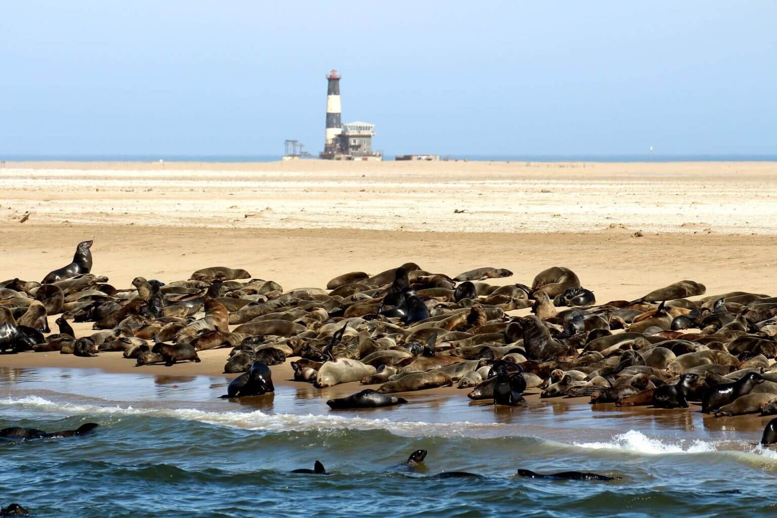 Walvis Bay From Luderitz Guided Namib Desert Tour Adventure African